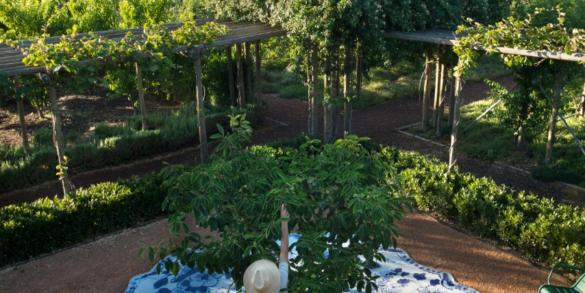 Die voordele van tuinmaak vir jou geestesgesondheid