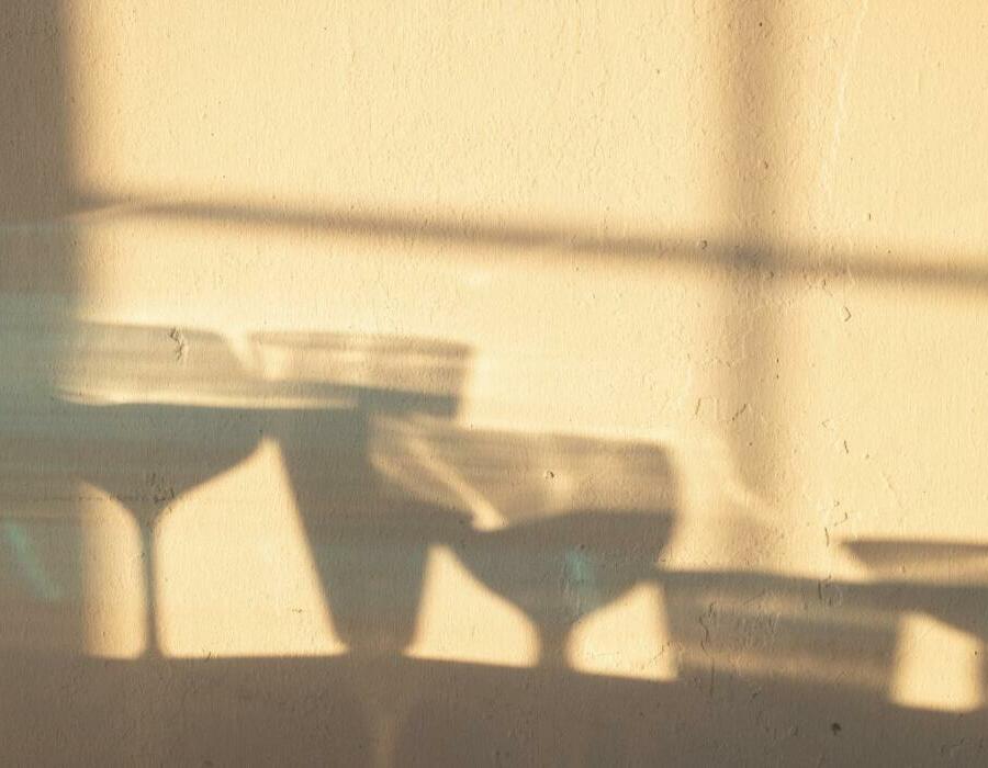 Introvertgids